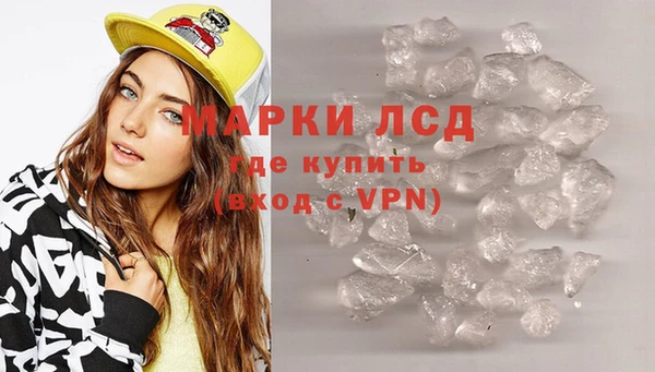 ПСИЛОЦИБИНОВЫЕ ГРИБЫ Богданович