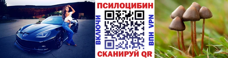 Галлюциногенные грибы GOLDEN TEACHER  Ликино-Дулёво 